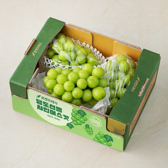 쿠팡 로켓프레시 샤인머스캣 · 중량은 쿠팡에서 확인