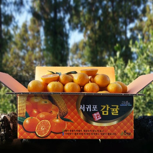 위탁 공급처 선정 중 품종·산지·중량·가격 확정 전